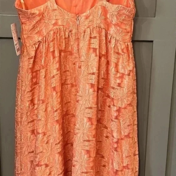 Free People Fresh as a Daisy Maxi Dress in Vintage Coral Size 2 New NWT - Picture 12 of 14